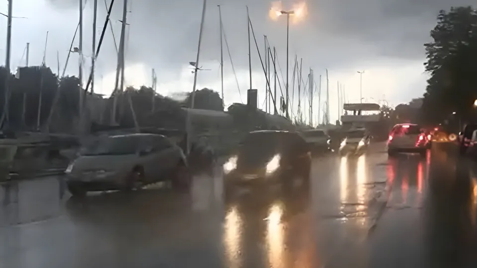 repertorio (@newsrimini)