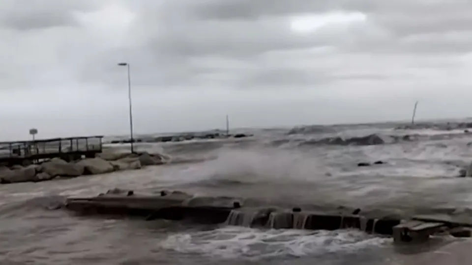 repertorio (@newsrimini)