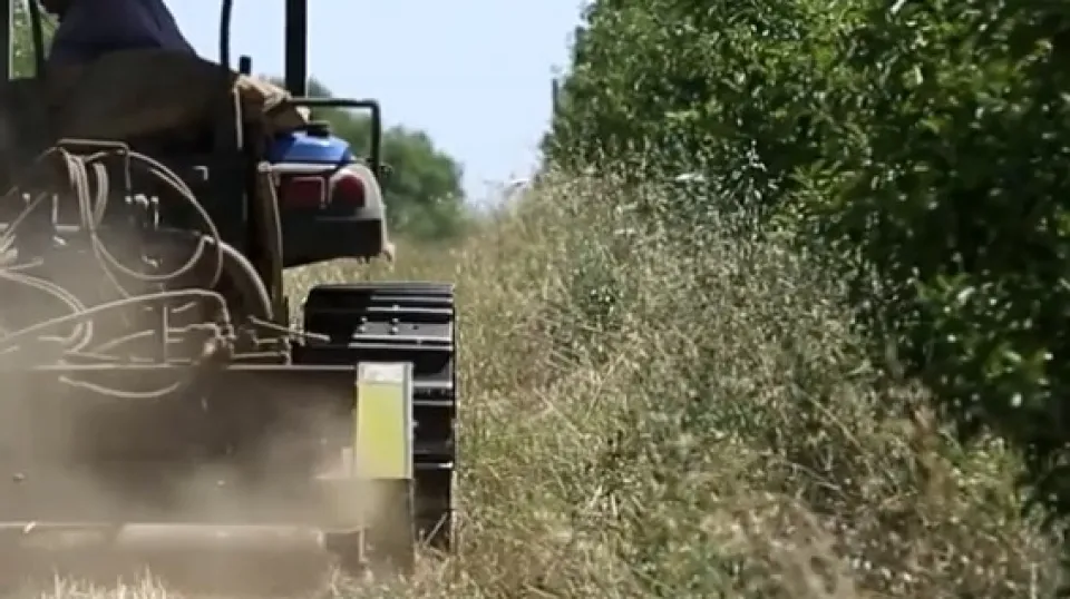 repertorio (@newsrimini)