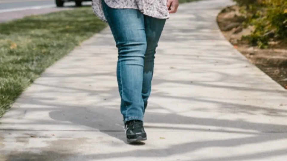 repertorio (Pexels)
