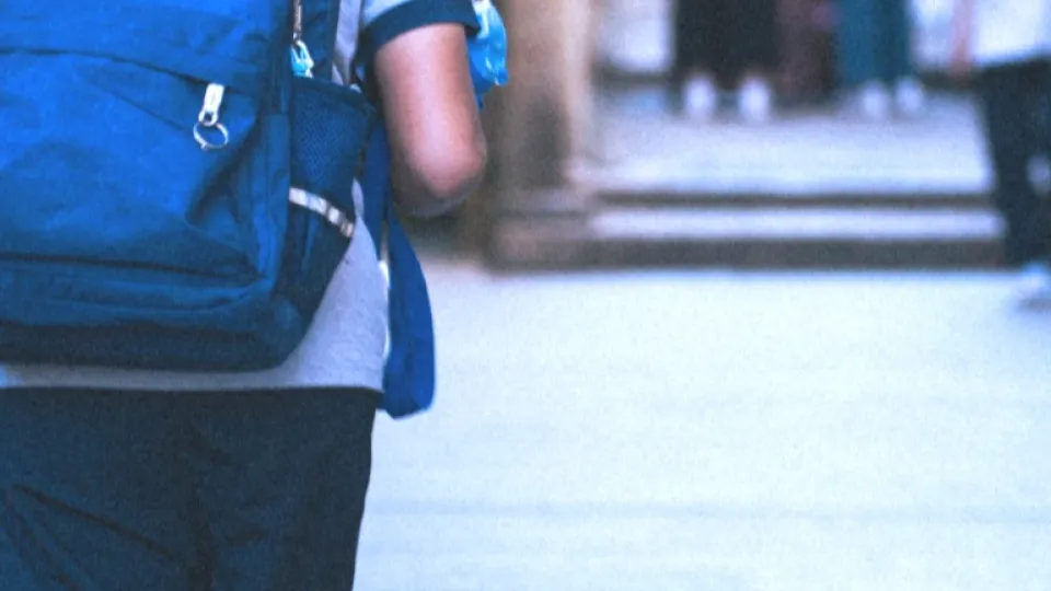 repertorio (Pexels)
