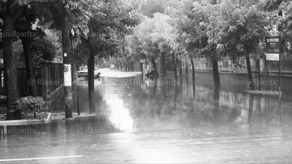 @Rimini Sparita
