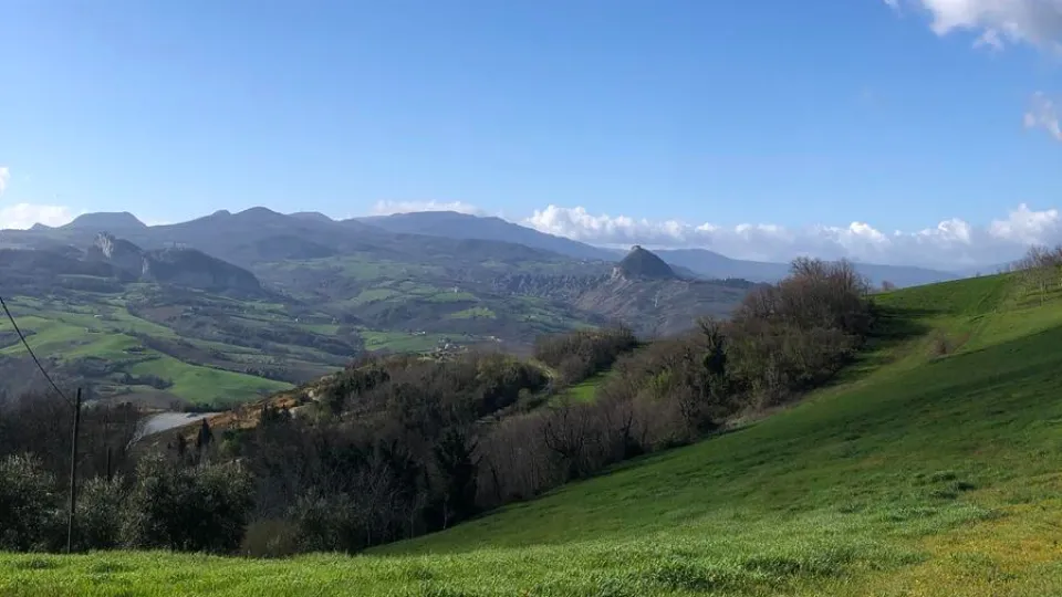Uffogliano