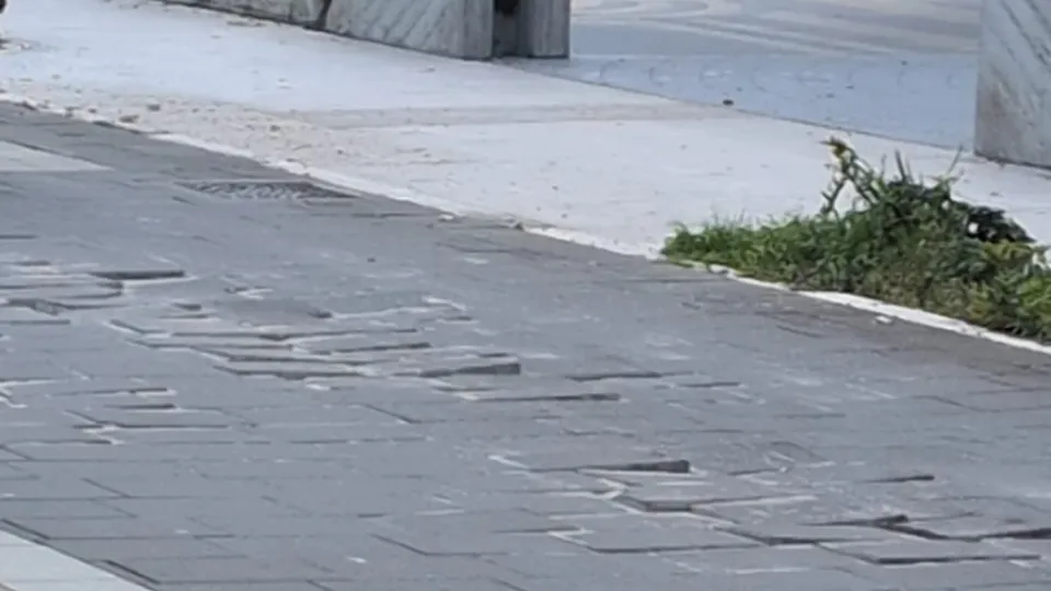 un dettaglio della pavimentazione del lungomare