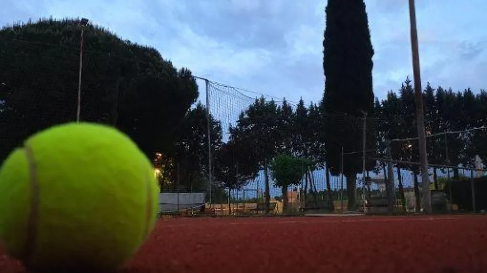 Una bella immagine del CT Venustas