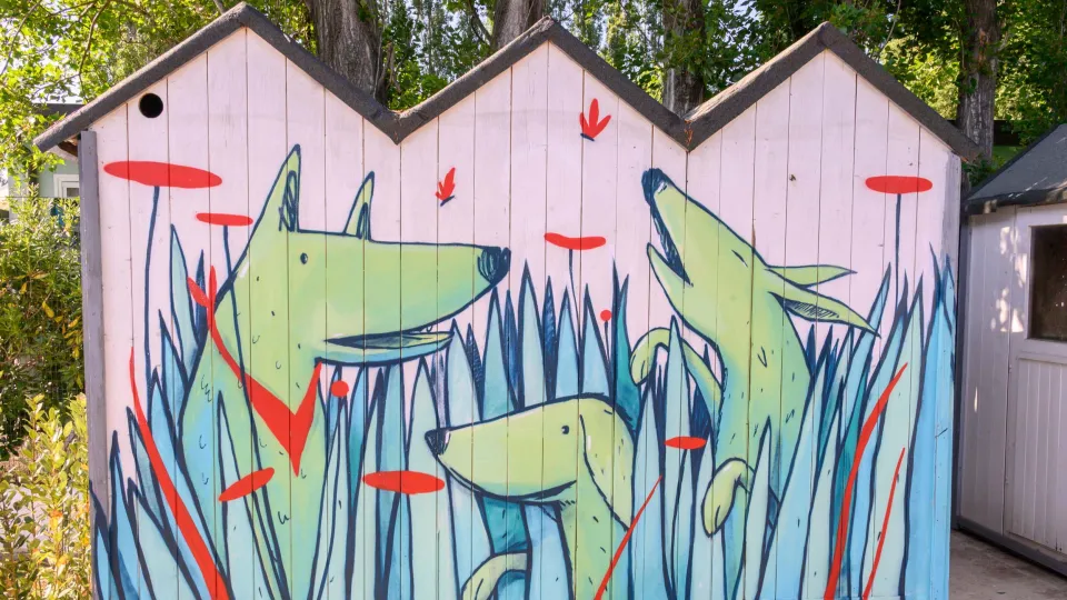 uno scorcio del canile