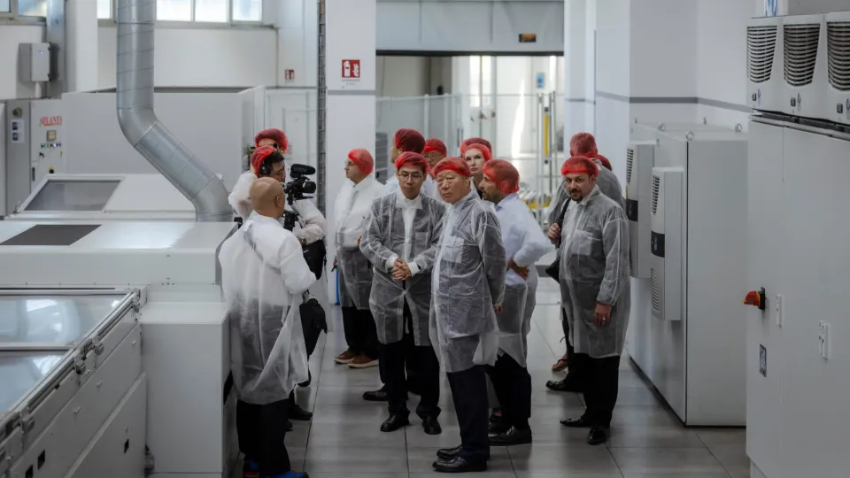 visita di gruppo