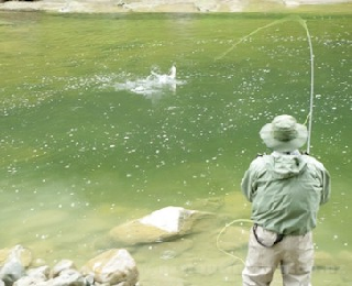 Pesca sportiva. La Cannisti Dogana è seconda al Mondiale per Club