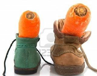 Cambiano prezzo di scarpe da 250€ con quello di carote, denunciate nomadi