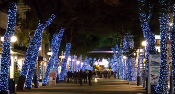 Casine di Natale a Riccione, pubblicato il bando